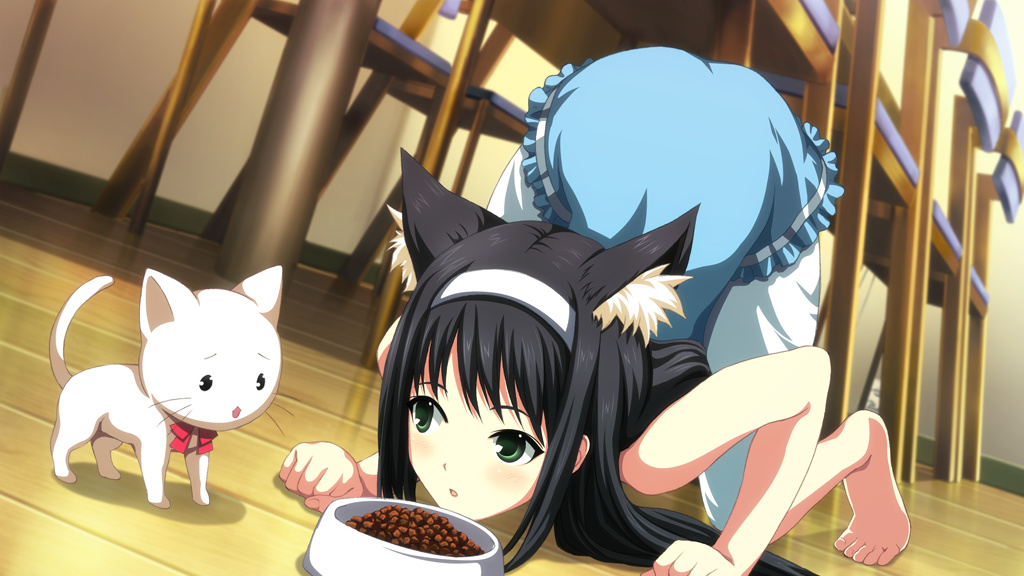девочка hoshizora kirara показывает кошке как нужно есть