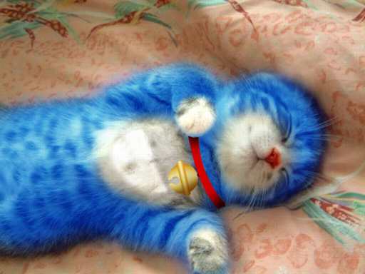 аниме картинка синяя кошка с бубенчиком